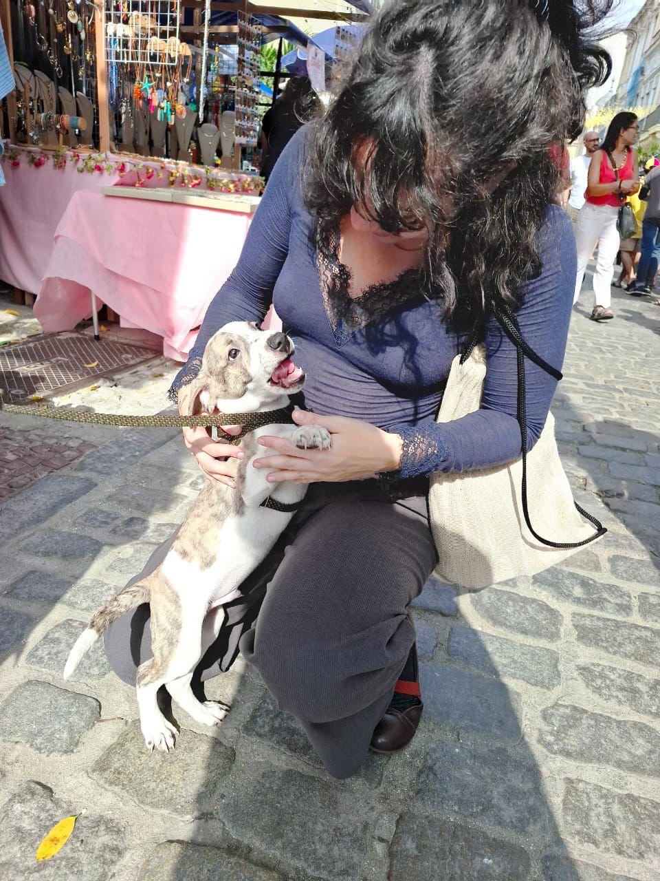 this little guy gave me a massive allergic reaction… totally worth it.