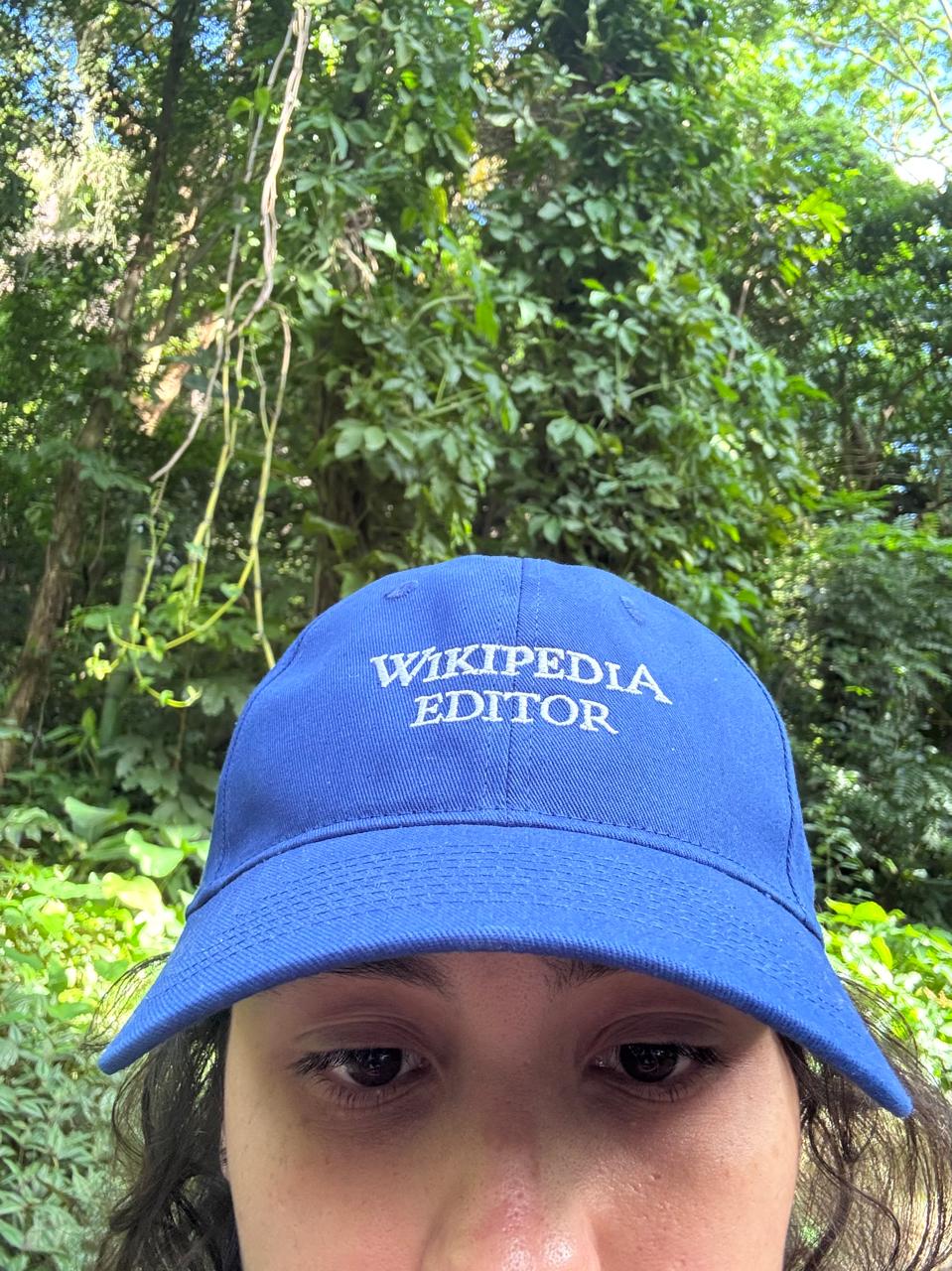Wikipedia Editor